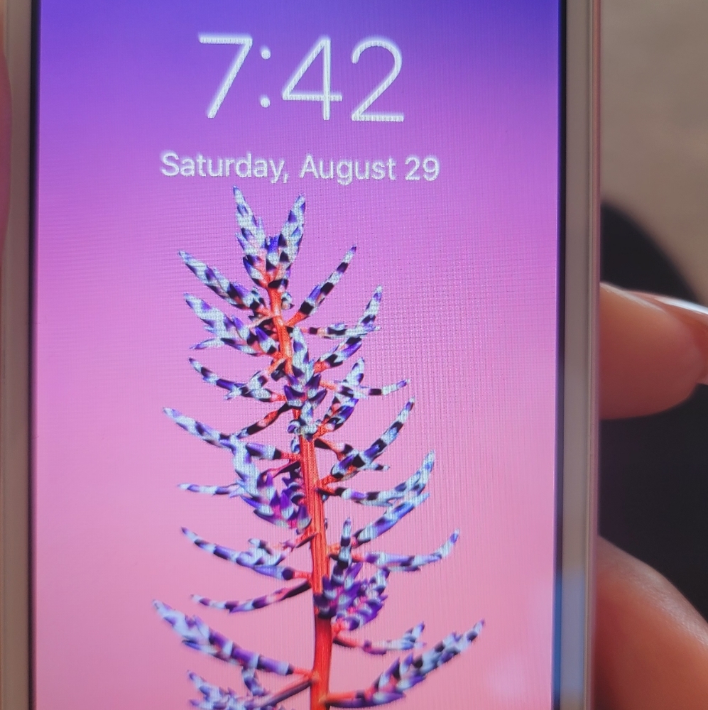 Rose gold iPhone SE Verizon